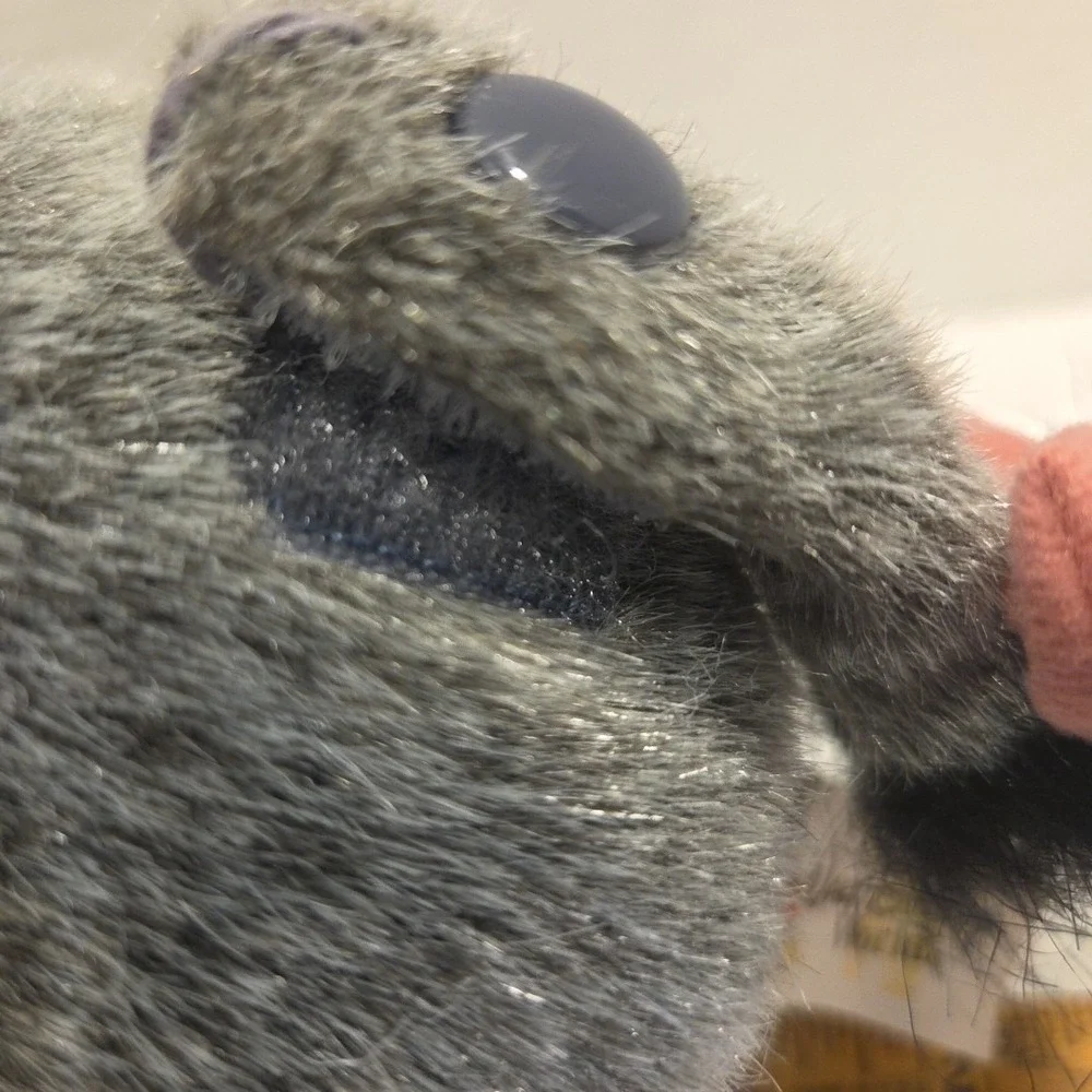 Walt Disney World Eeyore 10